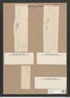 Pleurosigma angulatum var. fallax Grun. (de-Toni-Nr.: Genus 13, Species 1001) Zeichnungen Sammlung Grunow Nr. 2015 (NHMW-BOT-W0368865)